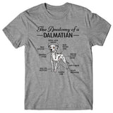 Anatomy of a Dalmatian T-shirt