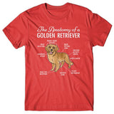 Anatomy of a Golden Retriever T-shirt