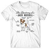 Anatomy of a Jack Russell T-shirt