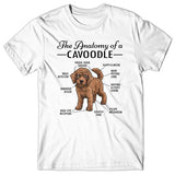 Anatomy of a Cavoodle T-shirt