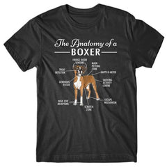 anatomy-of-boxer-t-shirt