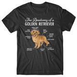 anatomy-of-golden-retriever-t-shirt