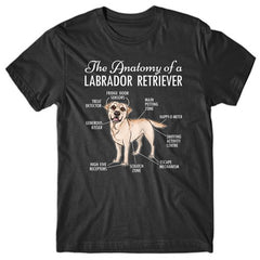anatomy-of-labrador-retriever-tshirt