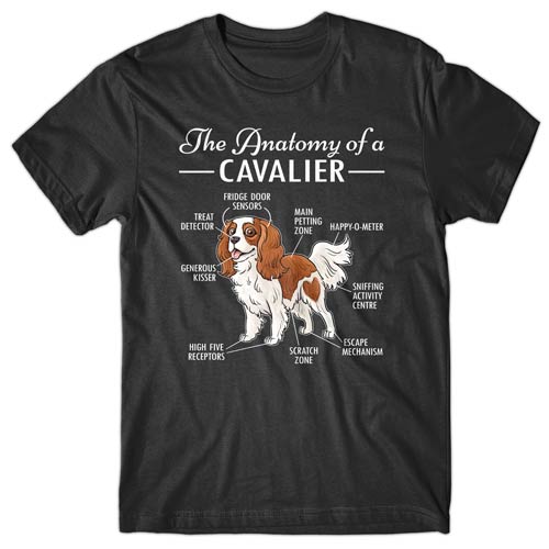 anatomy-of-cavalier-t-shirt