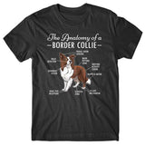 Anatomy of a Border Collie T-shirt