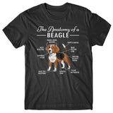 Anatomy-of-beagle-t-shirt