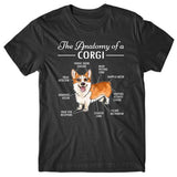 anatomy-of-corgi-t-shirt