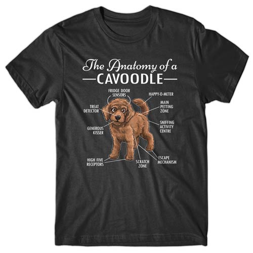 anatomy-of-cavoodle-tshirt