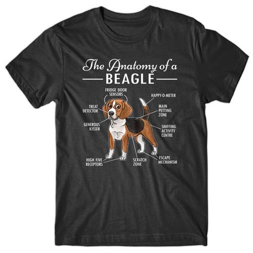Anatomy-of-beagle-t-shirt
