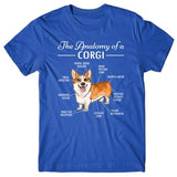 Anatomy of a Corgi T-shirt