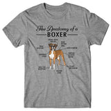 Anatomy of a Boxer T-shirt
