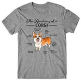 Anatomy of a Corgi T-shirt