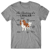 Anatomy of a Cavalier T-shirt