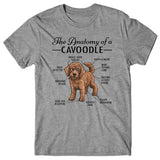 Anatomy of a Cavoodle T-shirt