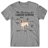 Anatomy of a Labrador Retriever T-shirt