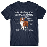Anatomy-of-australian-shepherd-tshirt