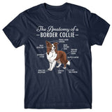 Anatomy of a Border Collie T-shirt