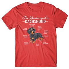 anatomy-of-dachshund-t-shirt