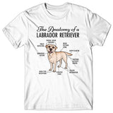 Anatomy of a Labrador Retriever T-shirt