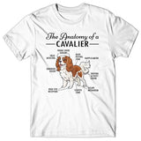 Anatomy of a Cavalier T-shirt