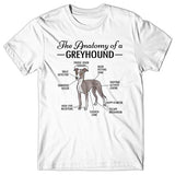 Anatomy of a Greyhound T-shirt