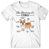 Anatomy of a Corgi T-shirt