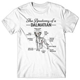 Anatomy of a Dalmatian T-shirt