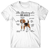 Anatomy of a Beagle T-shirt