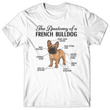 Anatomy of a French Bulldog T-shirt