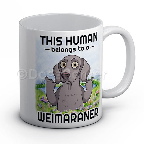 this-human-belongs-to-weimaraner-mug