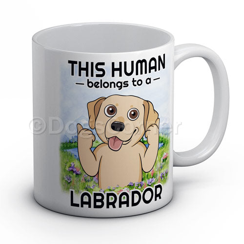 this-human-belongs-to-labrador-mug