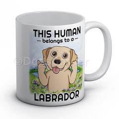 this-human-belongs-to-labrador-mug