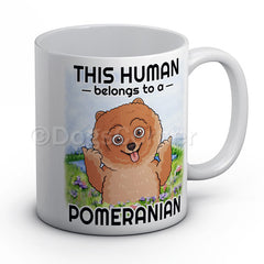 this-human-belongs-to-pomeranian-mug