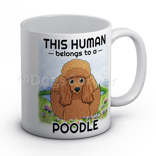 this-human-belongs-to-poodle-mug