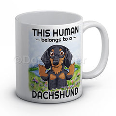 this-human-belongs-to-dachshund-mug