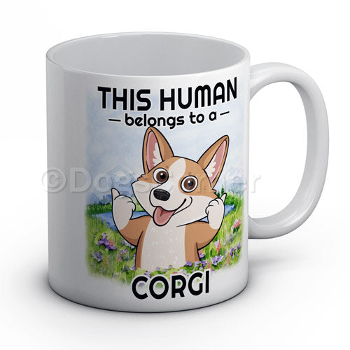 this-human-belongs-to-corgi-mug