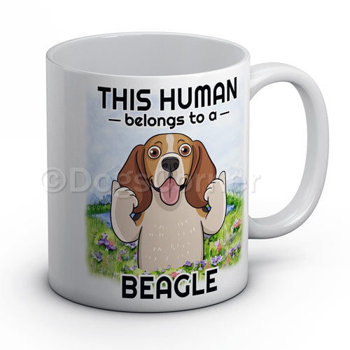 this-human-belongs-to-beagle-mug