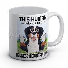 this-human-belongs-to-bernese-mountain-mug