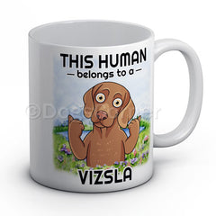 this-human-belongs-to-vizsla-mug