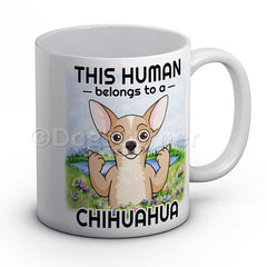 this-human-belongs-to-chihuahua-mug
