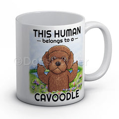this-human-belongs-to-cavoodle-mug